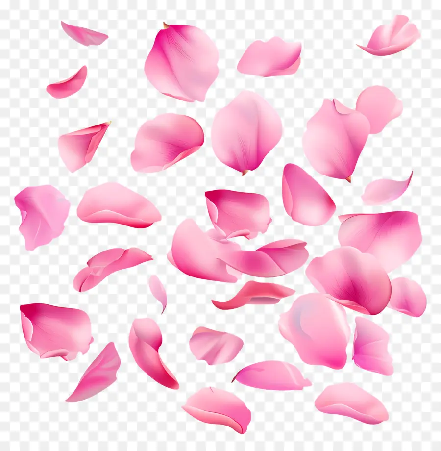 Pétalas De Flores，Pétalas Rosa PNG