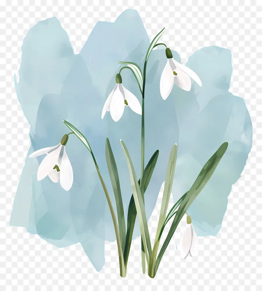 Flocos De Neve，Ilustra O De Floco De Neve PNG