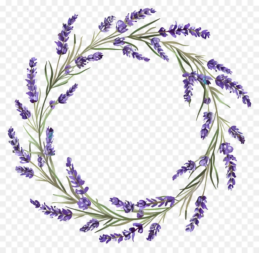 Guirlanda De Lavanda，Coroa De Lavanda PNG