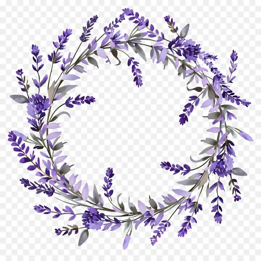 Guirlanda De Lavanda，Coroa De Lavanda PNG