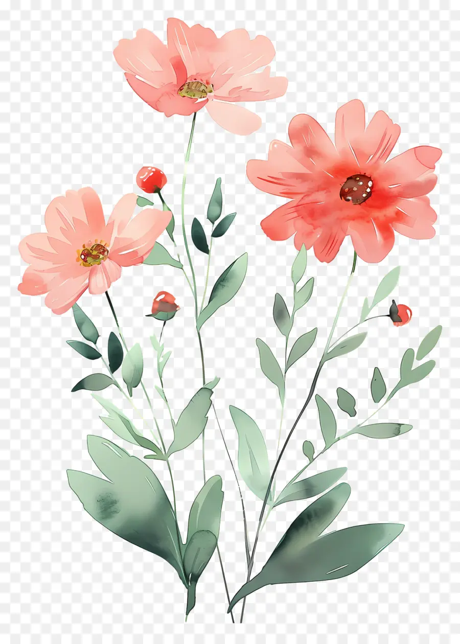 Flores Em Aquarela，Flores Vermelhas PNG