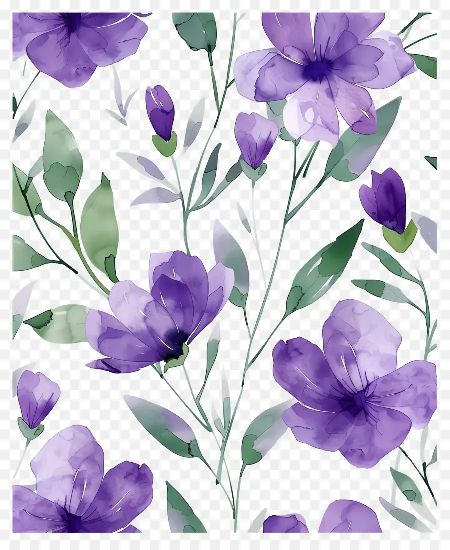 Flores Em Aquarela，Padrão Floral Roxo PNG