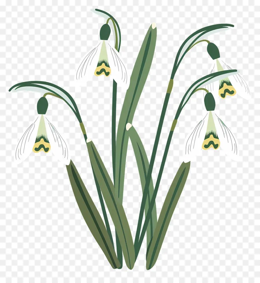 Flocos De Neve，Snowdrops Artísticos PNG