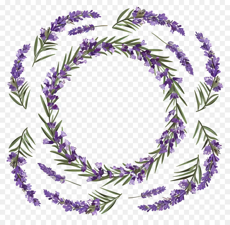 Guirlanda De Lavanda，Coroa De Lavanda PNG