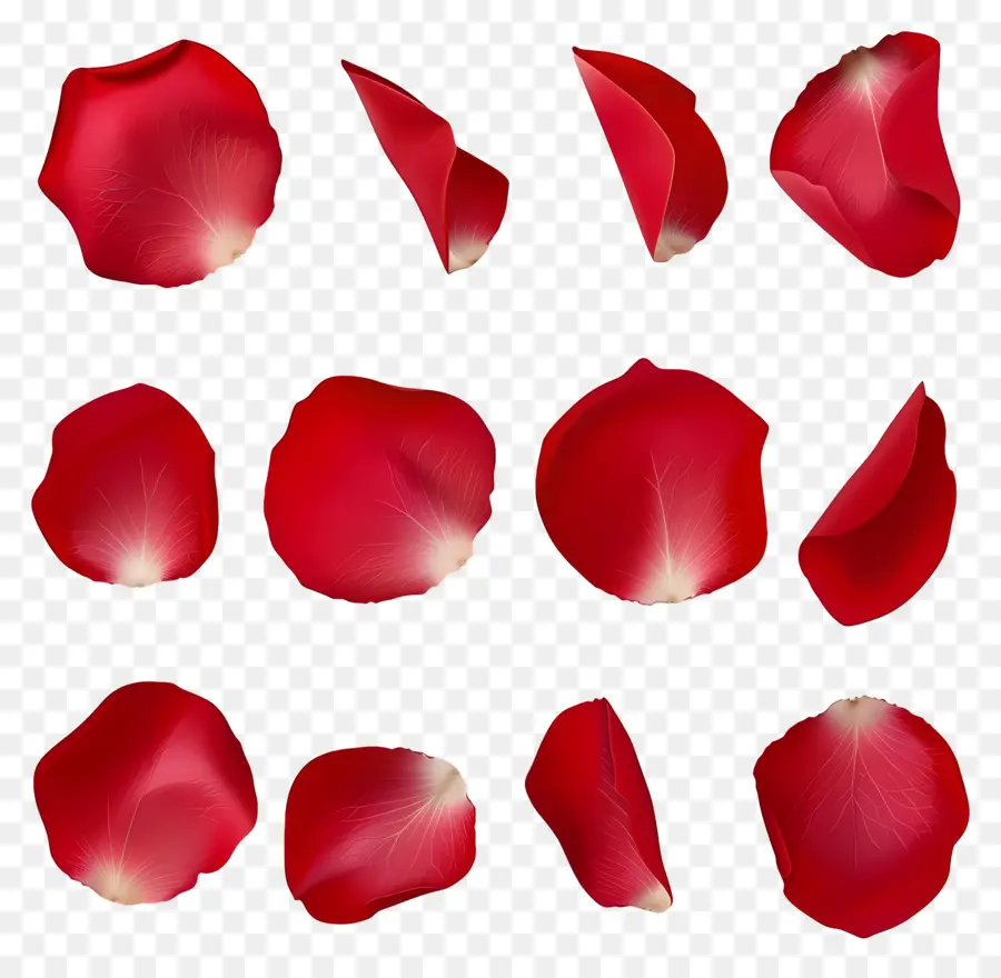 Pétalas De Flores，Rosa Vermelha PNG