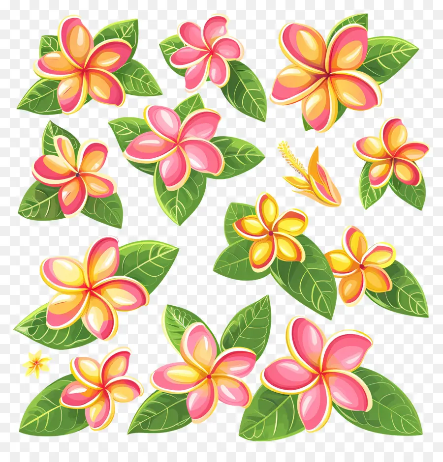 Flor De Frangipani，Flores Coloridas PNG