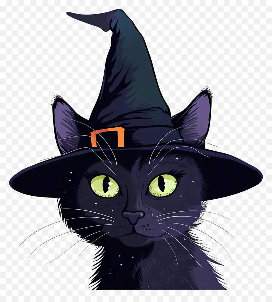 Gato De Halloween，Gato Preto Com Chapéu De Bruxa PNG