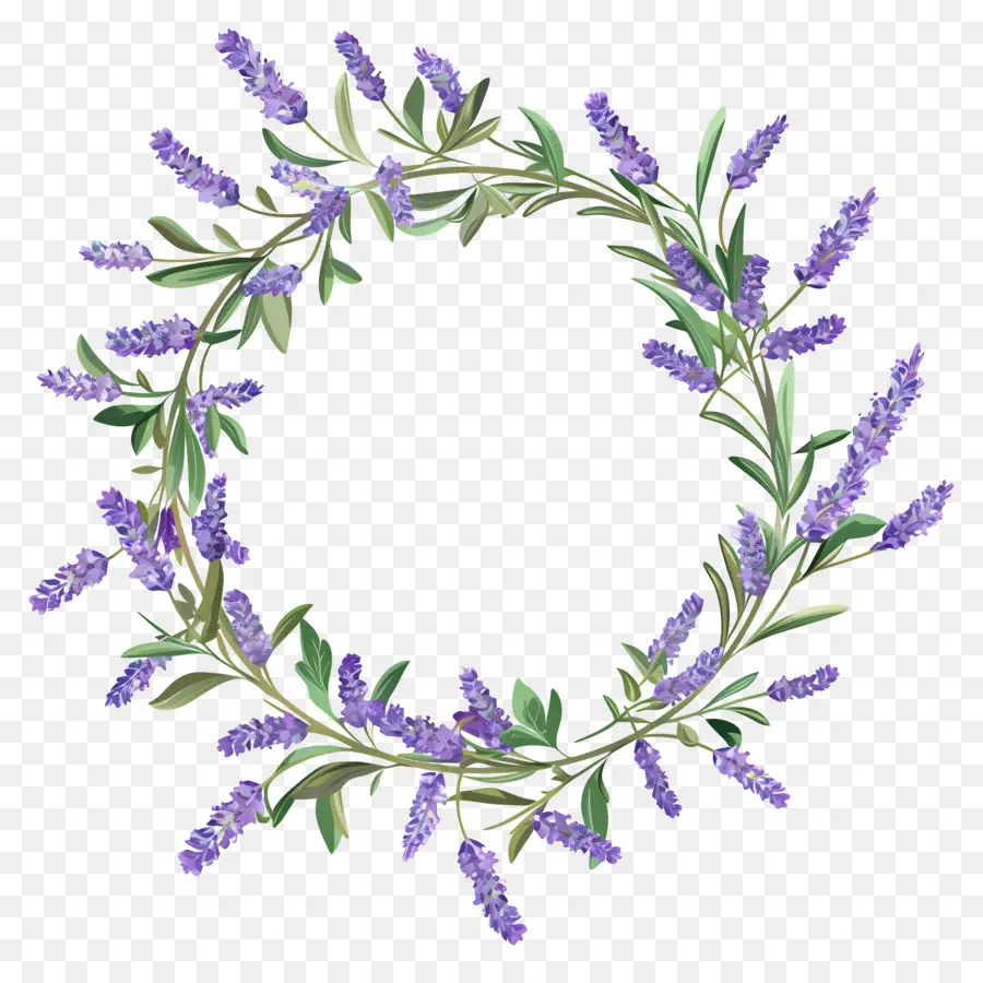 Guirlanda De Lavanda，Coroa De Lavanda PNG