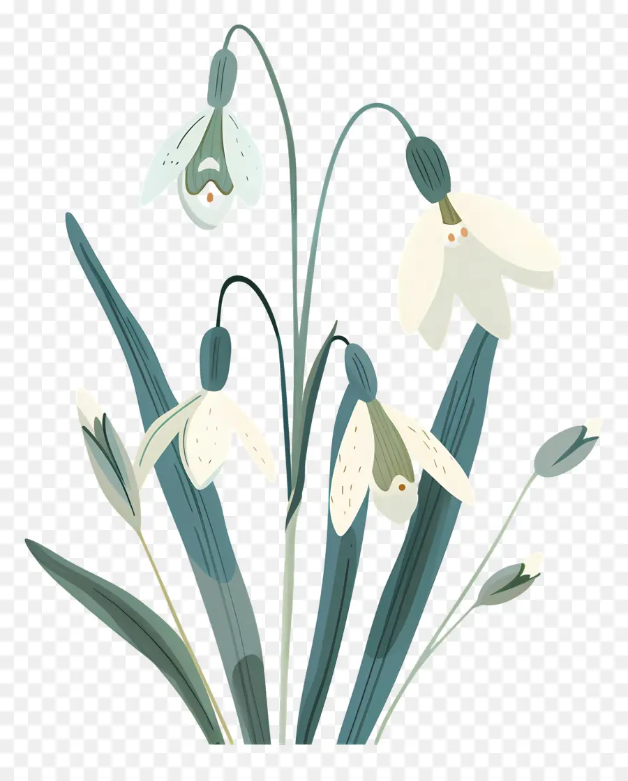 Flocos De Neve，Snowdrops Minimalistas PNG