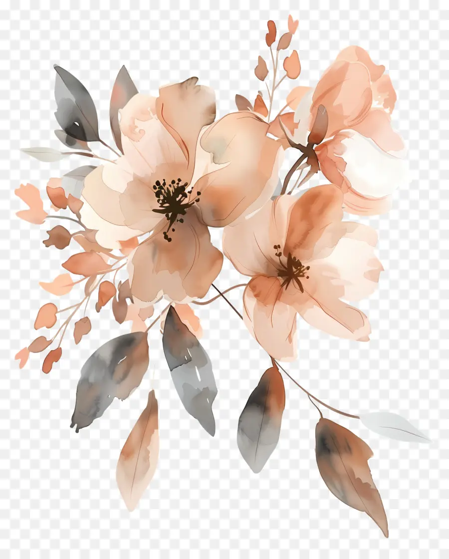 Flores Em Aquarela，Flores Bege PNG