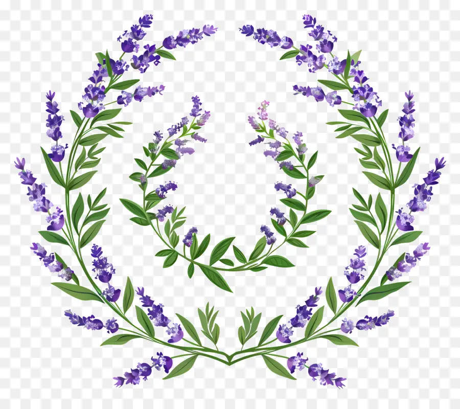 Guirlanda De Lavanda，Coroa De Lavanda PNG