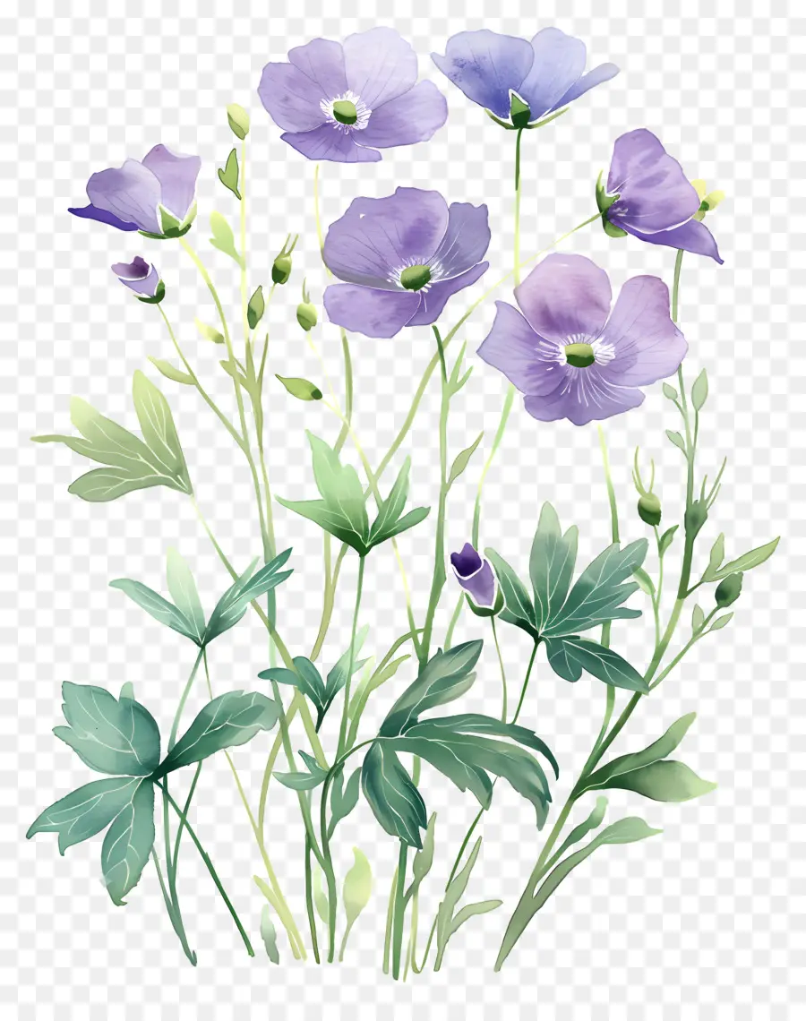 Flores Em Aquarela，Flores Pastel PNG