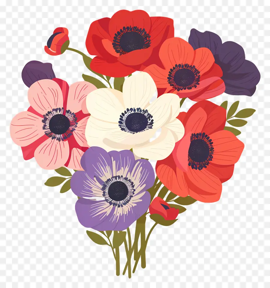 Flores Vintage，Anêmonas Coloridas PNG