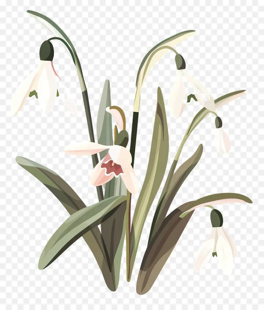 Gotas De Neve，Snowdrops Minimalistas PNG