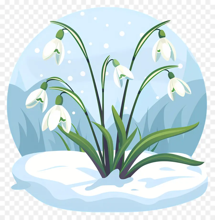 Gotas De Neve，Snowdrops Na Neve PNG