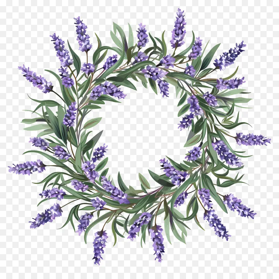 Guirlanda De Lavanda，Coroa De Lavanda PNG