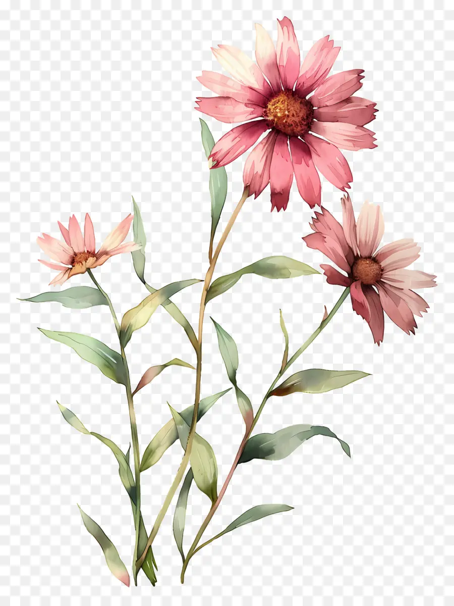 Flores Em Aquarela，Flores Amarelas E Brancas PNG