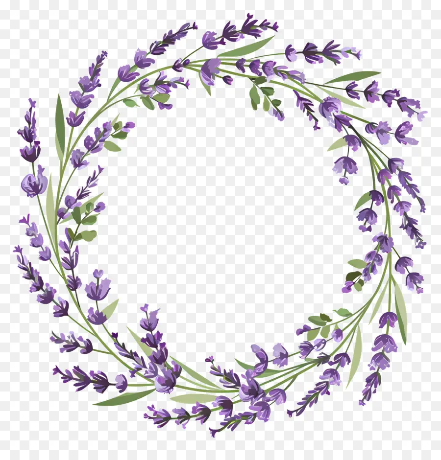 Guirlanda De Lavanda，Coroa De Lavanda PNG