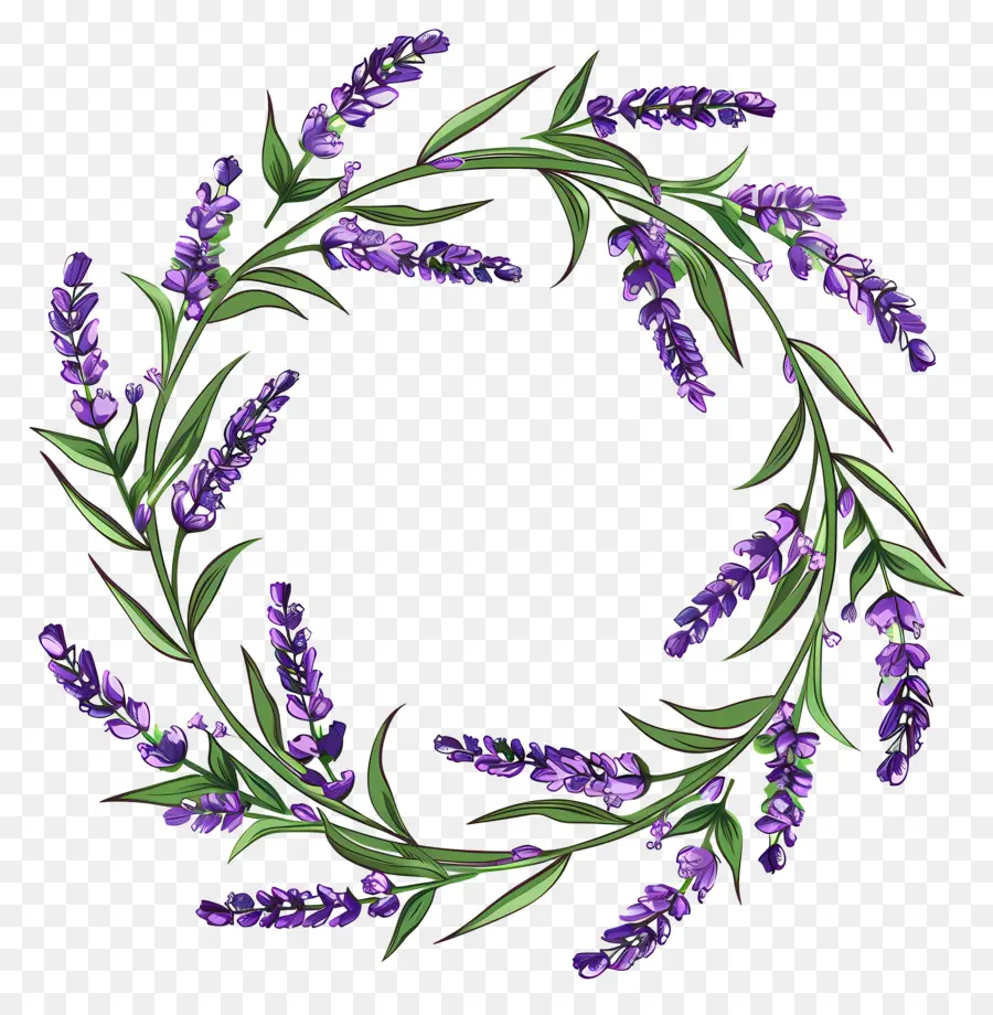 Guirlanda De Lavanda，Coroa De Lavanda PNG