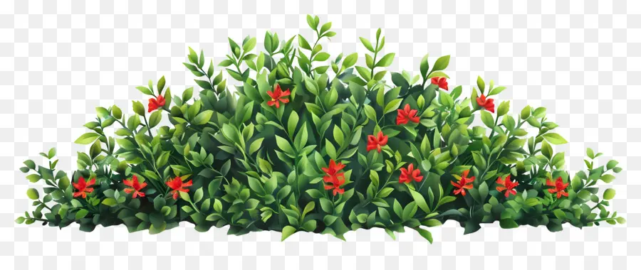 Arbusto De Flores，Arbusto Verde Com Flores Vermelhas PNG