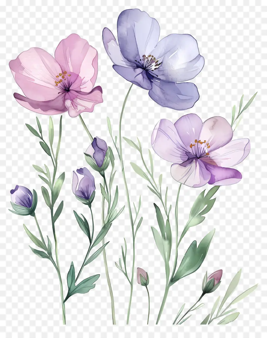 Flores Em Aquarela，Flores PNG