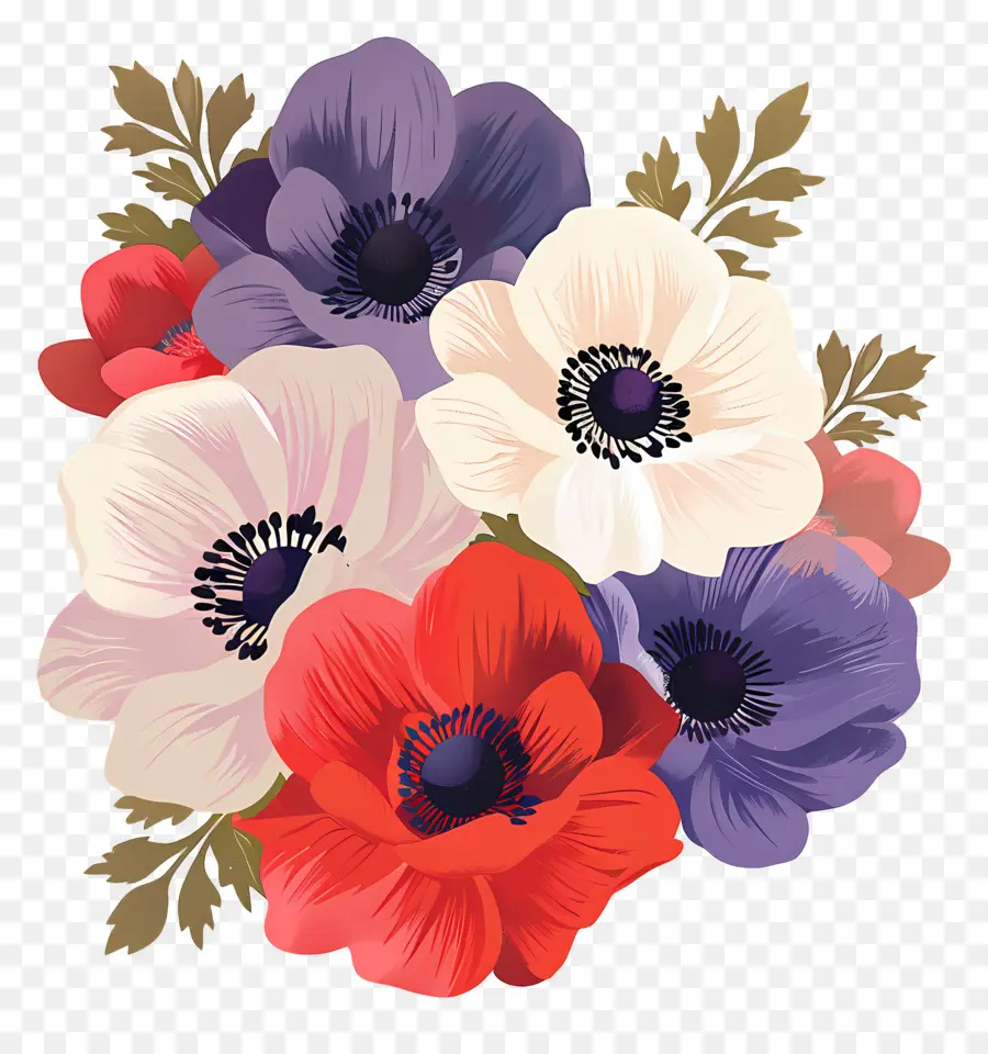 Flores Vintage，Anêmonas Coloridas PNG