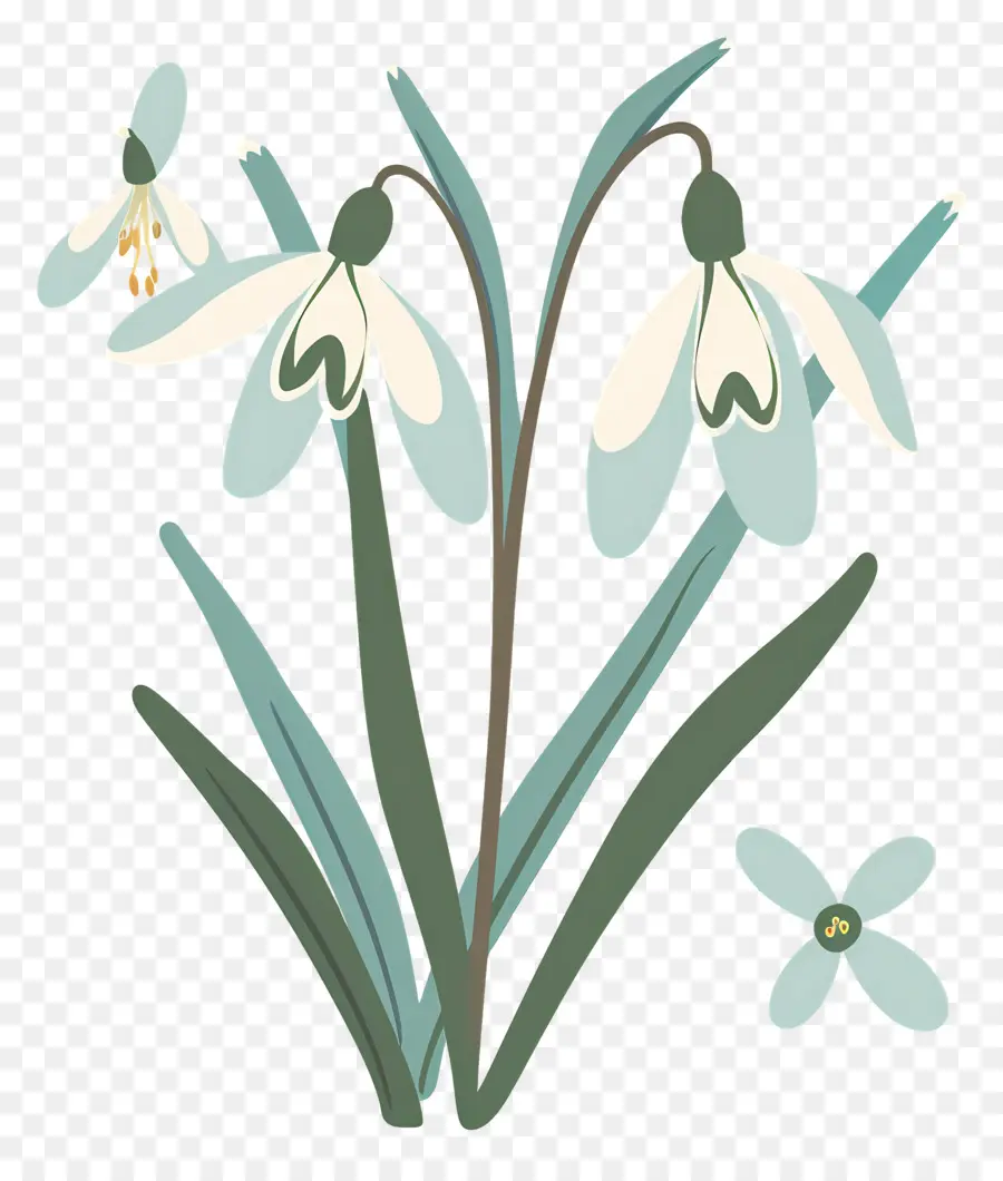 Flocos De Neve，Snowdrops Minimalistas PNG