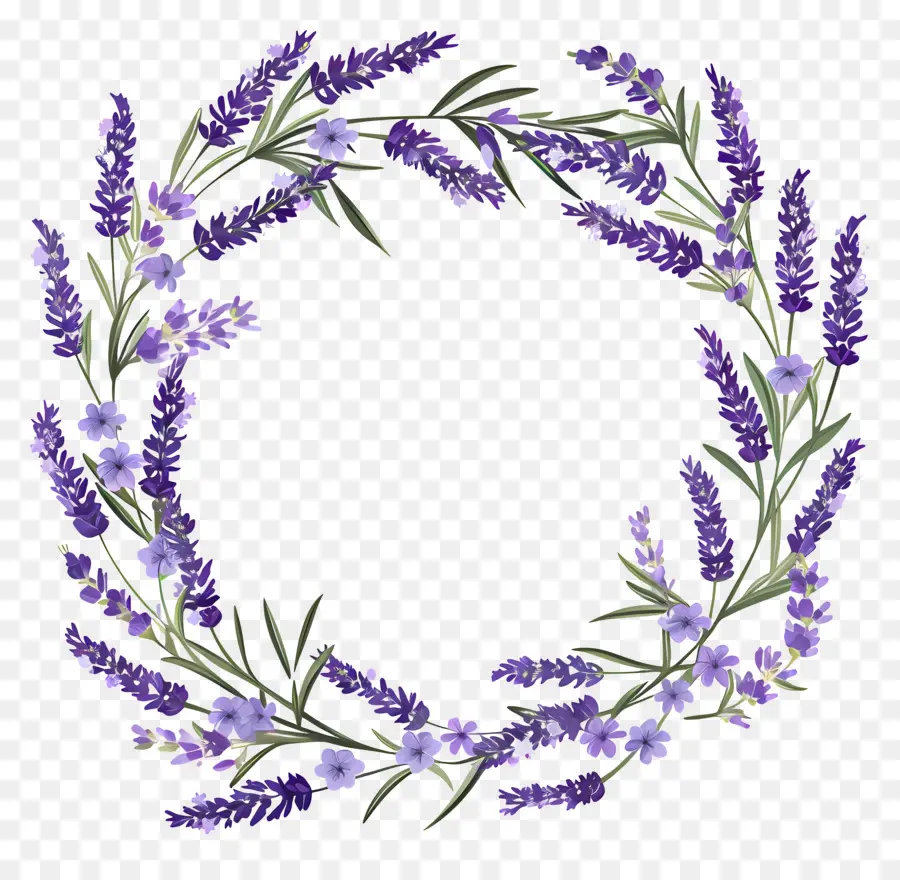 Guirlanda De Lavanda，Coroa De Lavanda PNG