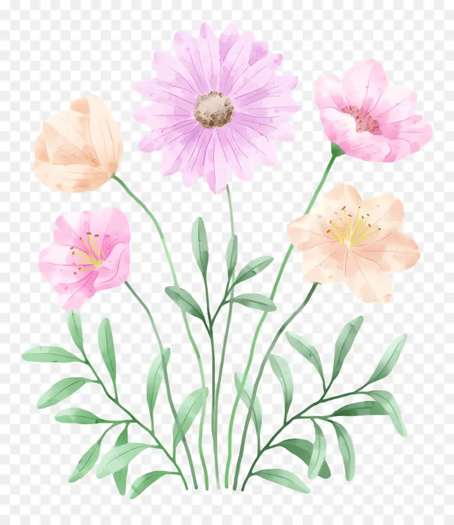 Flores Em Aquarela，Flores PNG