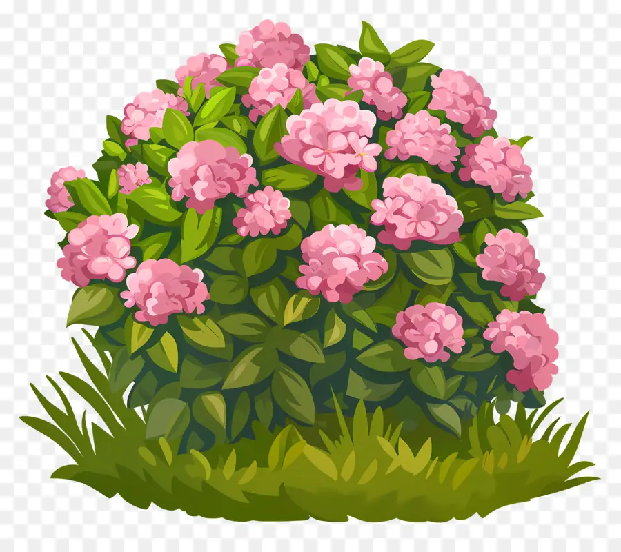 Arbusto De Flores，Arbusto Verde Com Flores Rosa PNG