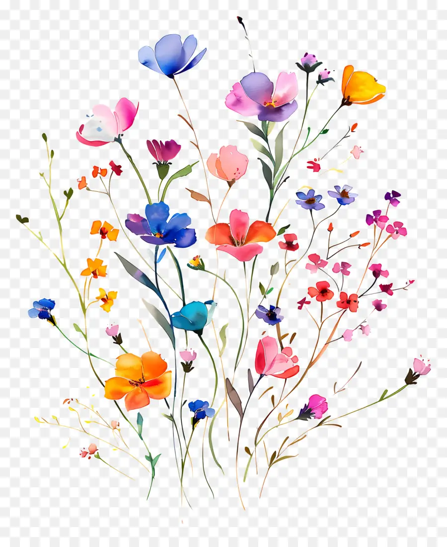 Fundo De Flor，Flores Coloridas PNG