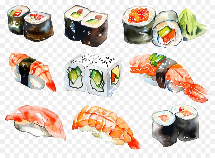 Sushi Aquarela，Sushi PNG