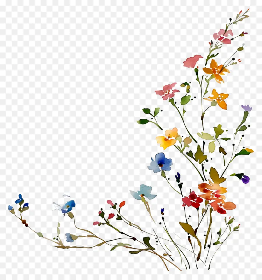 Fundo De Flor，Flores Coloridas PNG