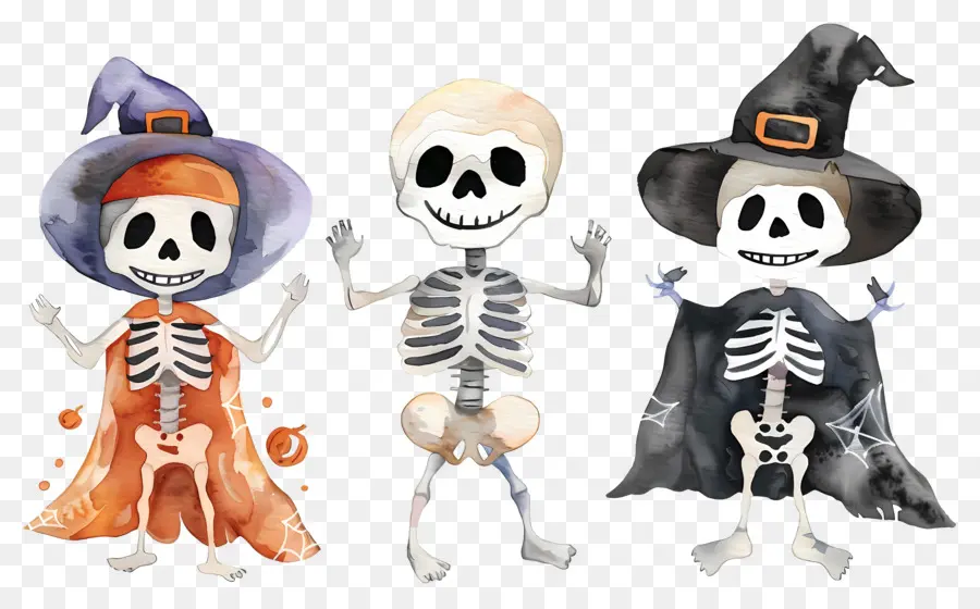 Esqueletos De Halloween，Esqueletos Com Chapéus De Bruxa PNG