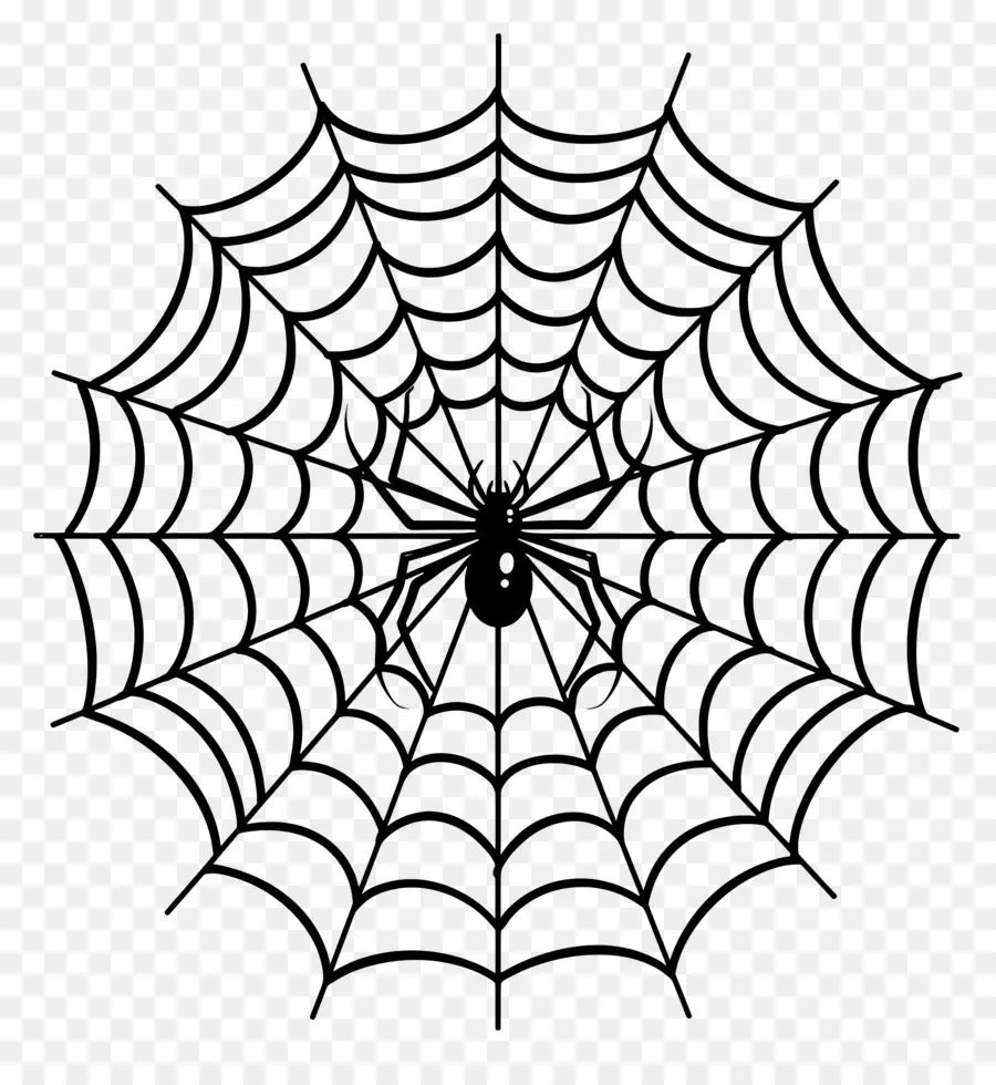 Teia De Aranha De Halloween，Teia De Aranha PNG