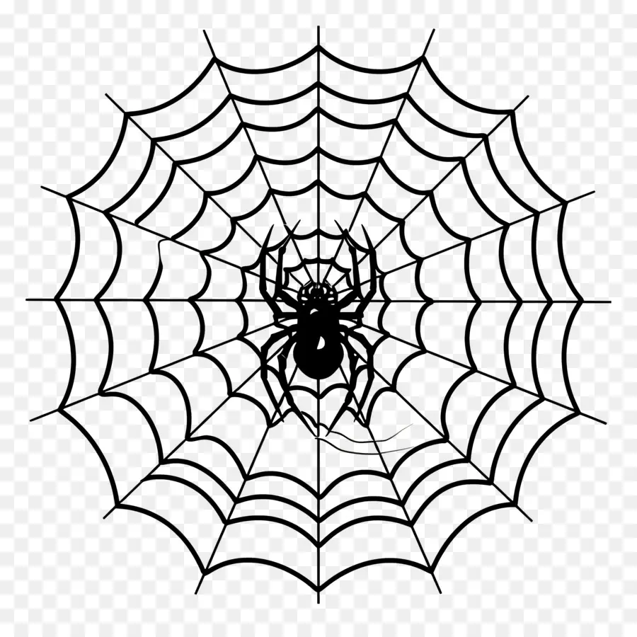 Teia De Aranha De Halloween，Teia De Aranha PNG