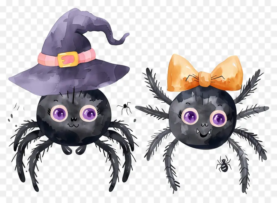 Aranhas De Halloween，Aranhas Com Chapéu PNG