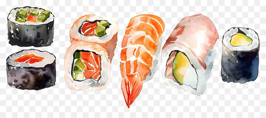 Sushi Aquarela，Sushi PNG