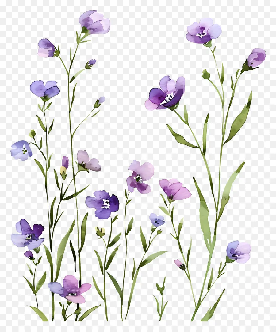 Fundo De Flor，Flores Pastel PNG