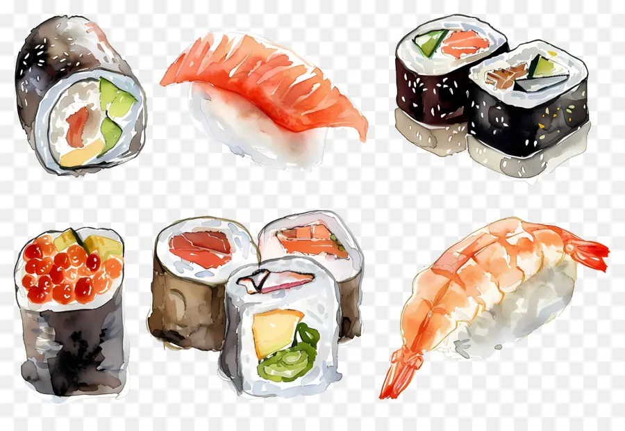 Sushi Aquarela，Sushi PNG