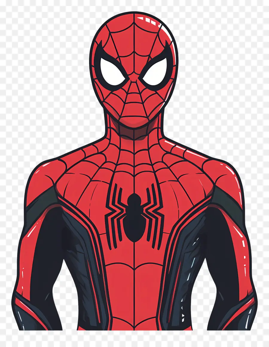 Homem Aranha Em Pé，Homem Aranha PNG