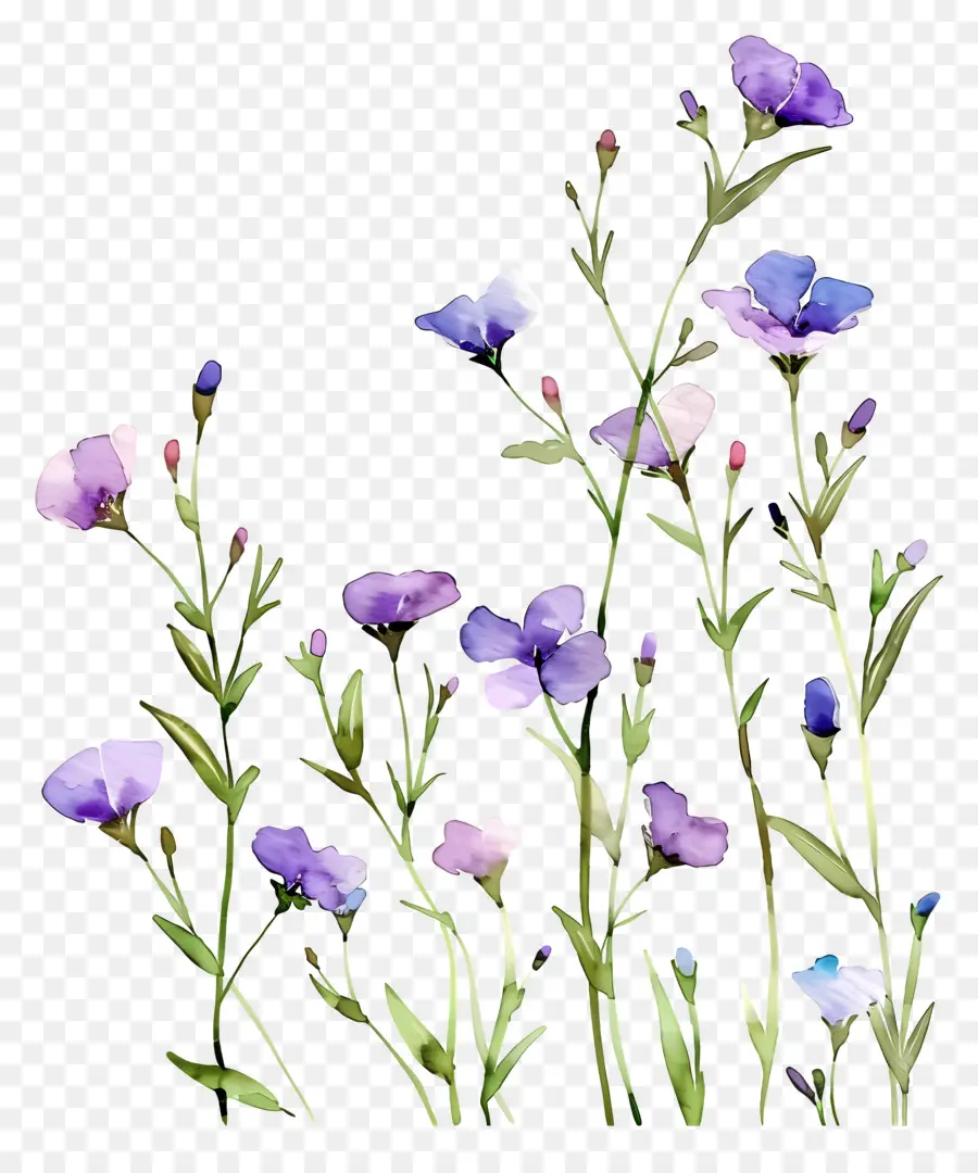 Fundo De Flor，Flores Pastel PNG