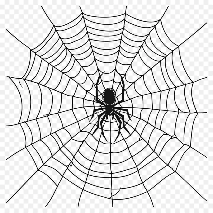 Teia De Aranha De Halloween，Teia De Aranha PNG