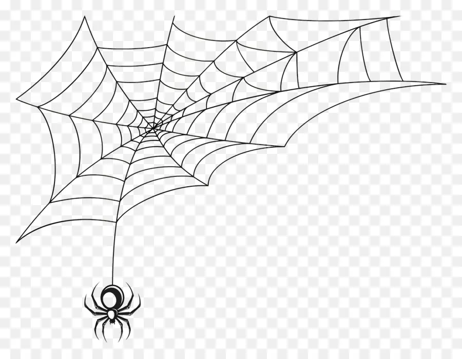 Teia De Aranha De Halloween，Teia De Aranha PNG