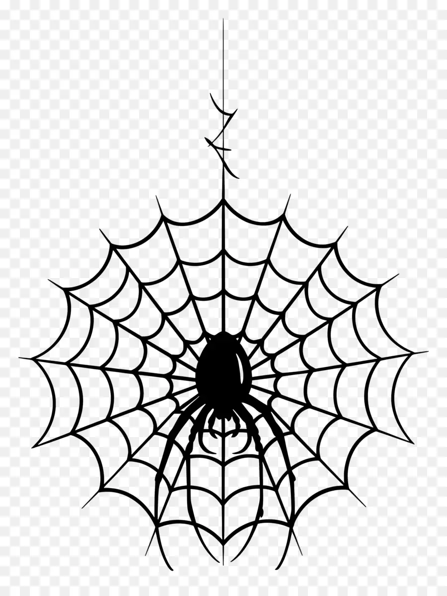 Teia De Aranha De Halloween，Aranha E Teia PNG