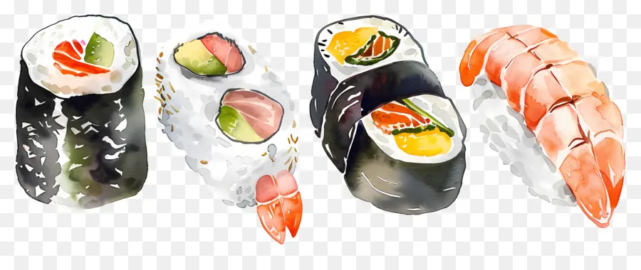 Sushi Aquarela，Sushi PNG