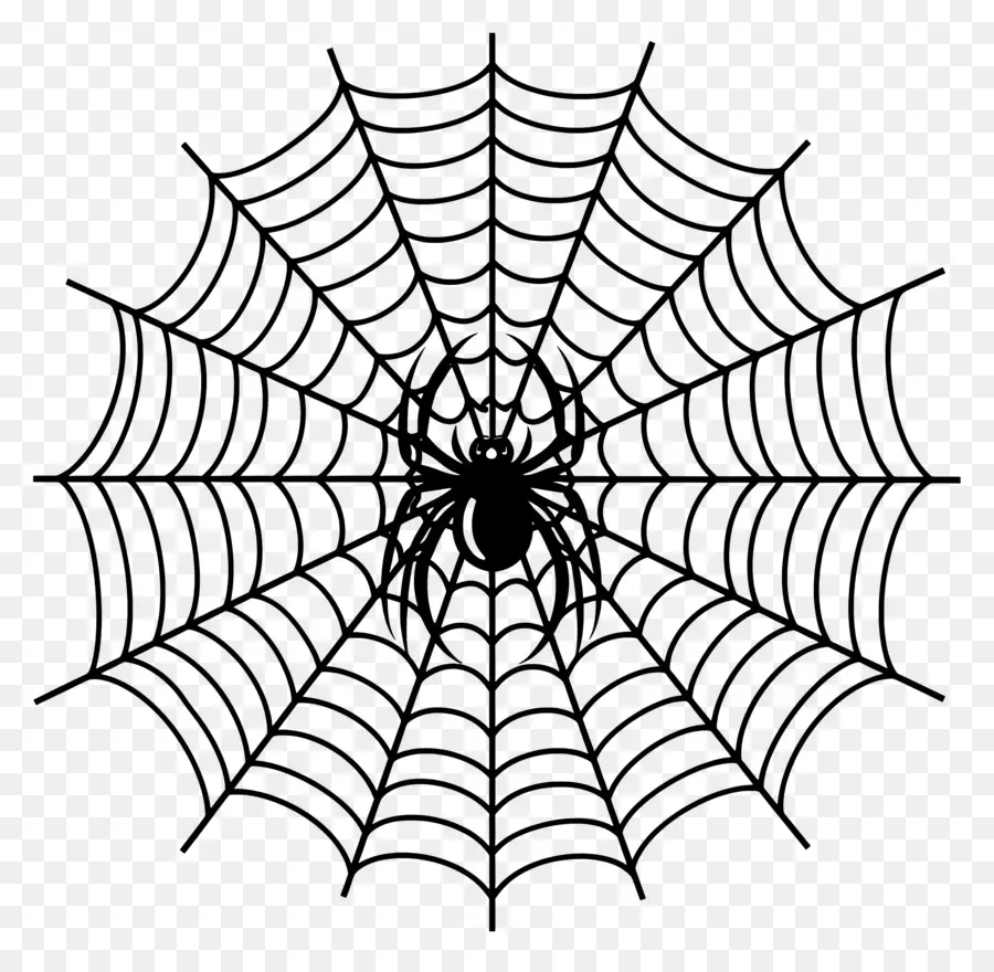 Teia De Aranha De Halloween，Teia De Aranha PNG