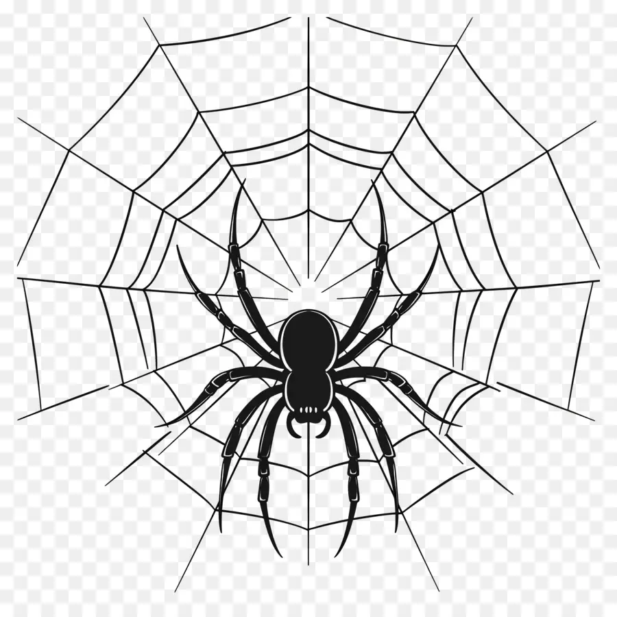 Teia De Aranha De Halloween，Aranha Na Web PNG