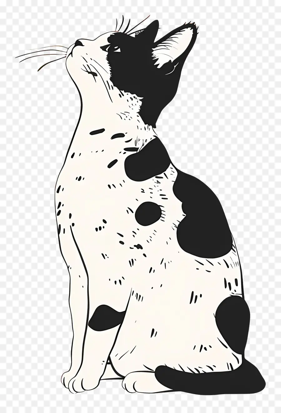 Gato Fofo，Gato Preto E Branco PNG