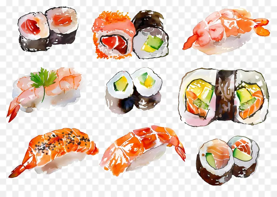 Sushi Aquarela，Sushi PNG